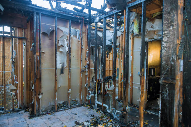 Professional Fire Damage Removal technician working in Iowa, IA